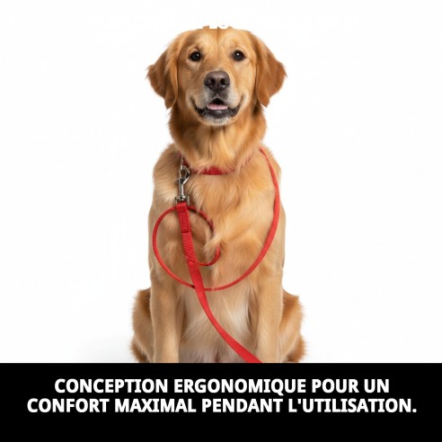 Rameau en nylon Love 120x0,80 cm pour votre animal de compagnie.