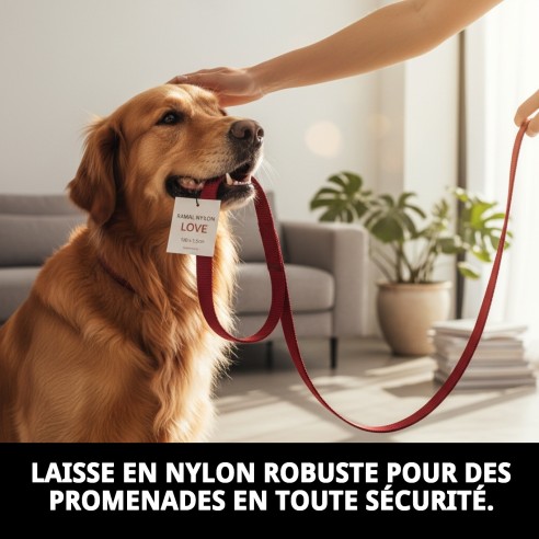 Ramal en Nylon Love 120x1,5cm : Confort et Style pour votre Animal de Compagnie