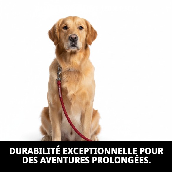 Ramal en Nylon Love 120x1,5cm : Confort et Style pour votre Animal de Compagnie