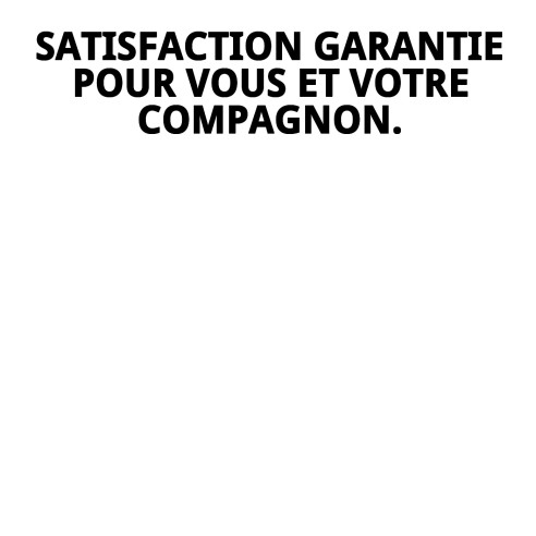 Ramal en Nylon Love 120x1,5cm : Confort et Style pour votre Animal de Compagnie