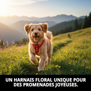 Harnais en Nylon Flower 25-35 cm : Style et Confort pour votre Animal de Compagnie 2