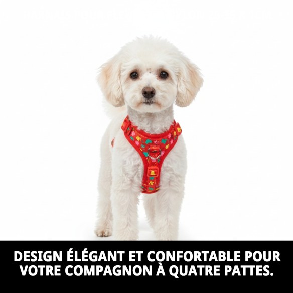 Harnais en Nylon Flower 25-35 cm : Style et Confort pour votre Animal de Compagnie