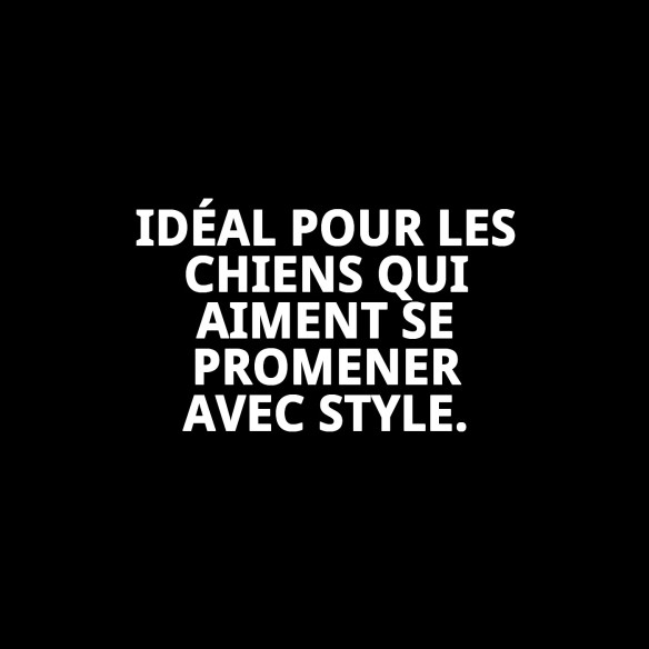 Ramal en Nylon Flower 120x1cm : Style et Confort pour Votre Animal de Compagnie