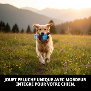 Jouet en Peluche Punk avec Mordeur pour Animaux de Compagnie 22x12 cm 2