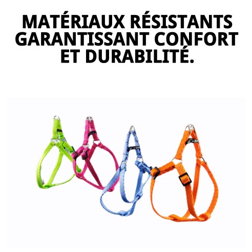 Harnais avec Laisse Fluorescente 1,3 Couleurs pour Votre Animal de Compagnie