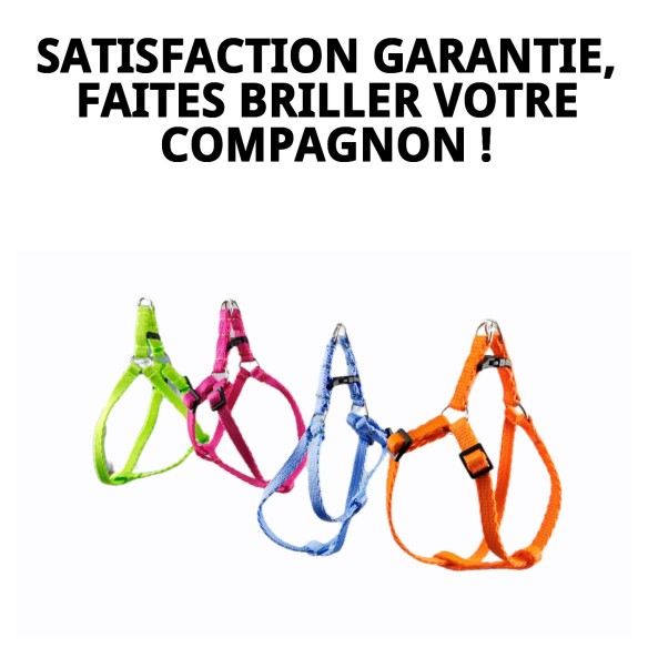 Harnais avec Laisse Fluorescente 1,3 Couleurs pour Votre Animal de Compagnie