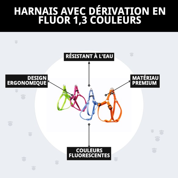 Harnais avec Laisse Fluorescente 1,3 Couleurs pour Votre Animal de Compagnie