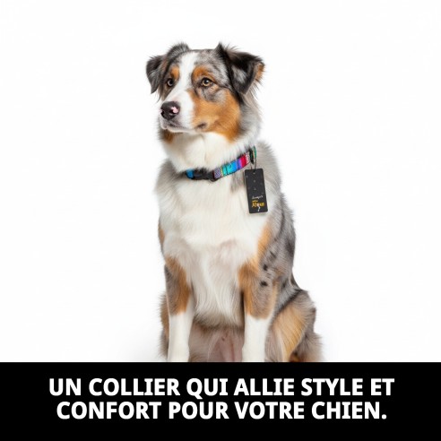 Collier City Fantaisie : Style et Confort pour Votre Animal de Compagnie