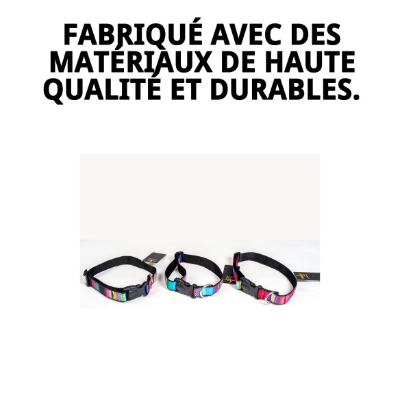 Collier City Fantaisie : Style et Confort pour Votre Animal de Compagnie