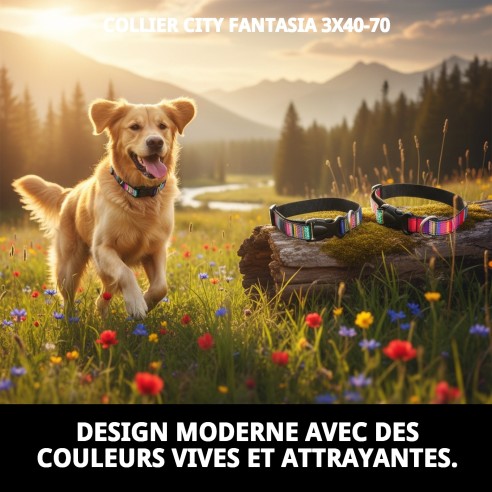 Collier City Fantaisie : Style et Confort pour Votre Animal de Compagnie