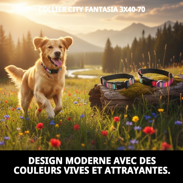 Collier City Fantaisie : Style et Confort pour Votre Animal de Compagnie