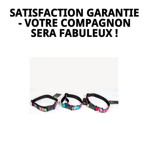 Collier City Fantaisie : Style et Confort pour Votre Animal de Compagnie