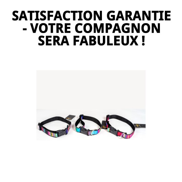 Collier City Fantaisie : Style et Confort pour Votre Animal de Compagnie