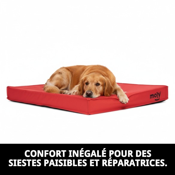 Matelas étanche rouge T-2 90x60x10 pour animaux de compagnie heureux.