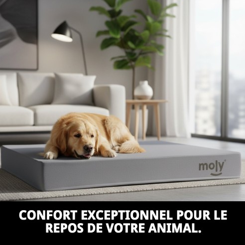 Matelas Waterproof Gris T-1 80x60x10 pour Animaux Confortable