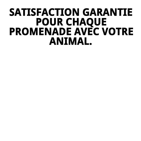 Gilet 3D Moly Lilas T-XXS : Style et Confort pour votre Animal de Compagnie