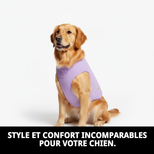Gilet Moly Lilas pour Chien Taille L - Confort et Style