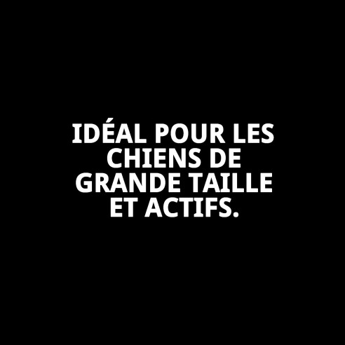 Gilet Moly Lilas pour Chien Taille L - Confort et Style