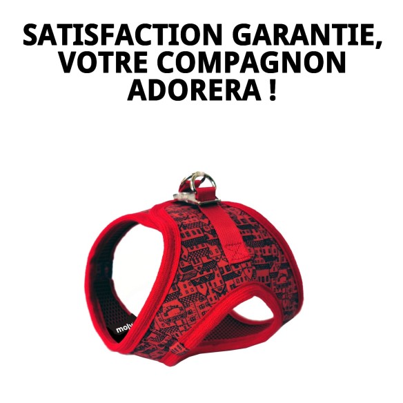 Gilet 3D Casitas Rojas T-XXS pour votre animal de compagnie élégant.