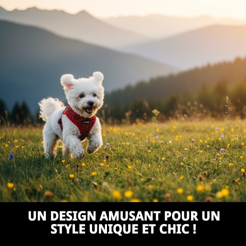 Gilet 3D Maisons Rouges T-XS pour Animaux de Compagnie Amusant