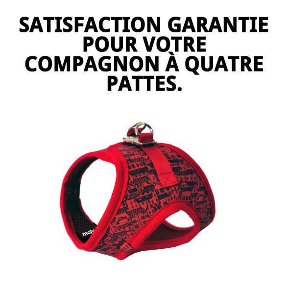 Gilet 3D Maisons Rouges T-XS pour Animaux de Compagnie Amusant