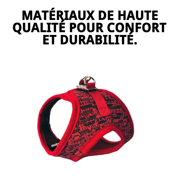 Gilet 3D Casitas Rojas T-S pour Animaux avec Style