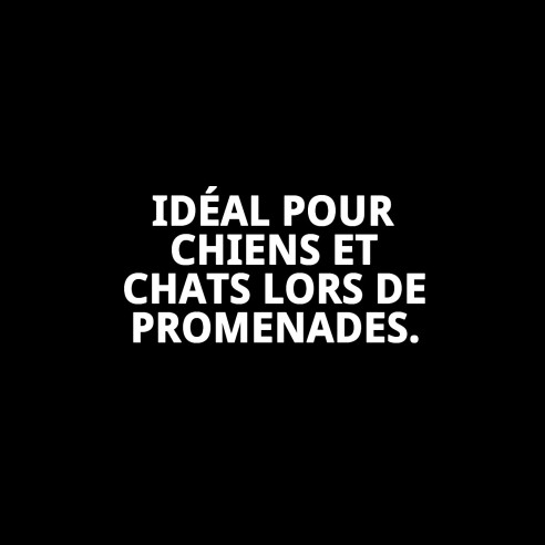 Gilet 3D Casitas Rojas T-S pour Animaux avec Style