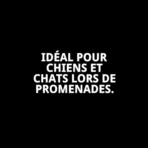 Gilet 3D Casitas Rojas T-S pour Animaux avec Style