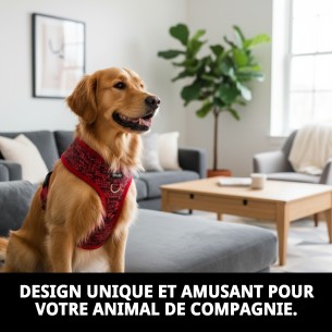 Gilet 3D Casitas Rojas T-M pour votre animal de compagnie ! Style unique ! 2