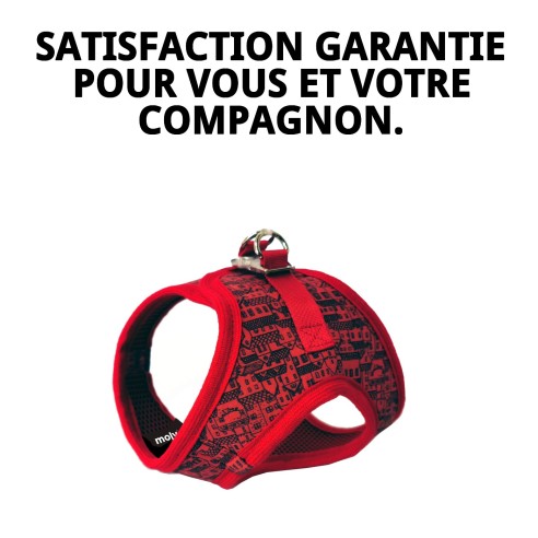 Gilet 3D Casitas Rojas T-M pour votre animal de compagnie ! Style unique !