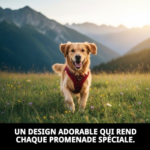 Gilet Casitas Rojas T-L : Style et Confort pour votre Animal de Compagnie 2