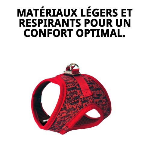 Gilet Casitas Rojas T-L : Style et Confort pour votre Animal de Compagnie