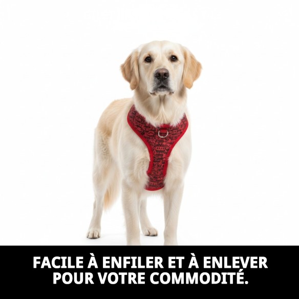 Gilet Casitas Rojas T-L : Style et Confort pour votre Animal de Compagnie