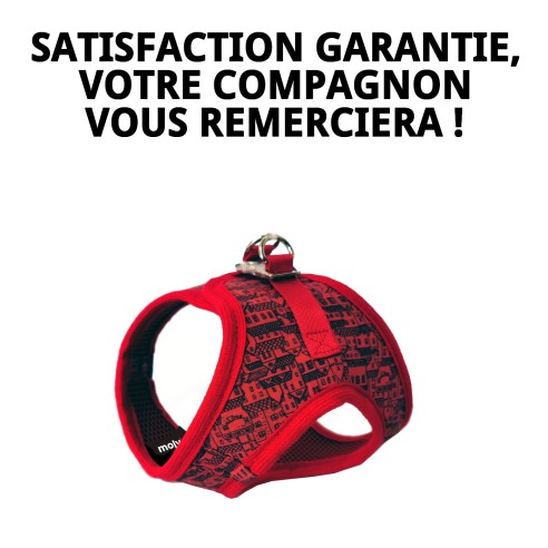 Gilet Casitas Rojas T-L : Style et Confort pour votre Animal de Compagnie