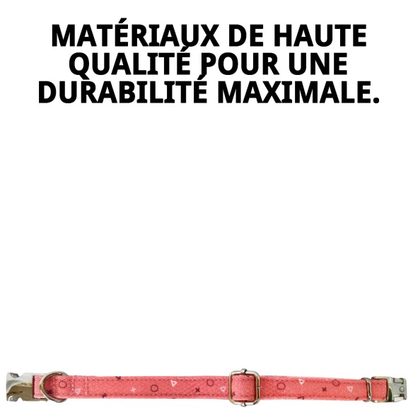 Collier Moly Saumon T-2 : Style et Confort pour votre Animal de Compagnie