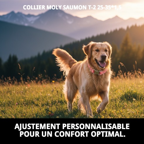 Collier Moly Saumon T-2 : Style et Confort pour votre Animal de Compagnie