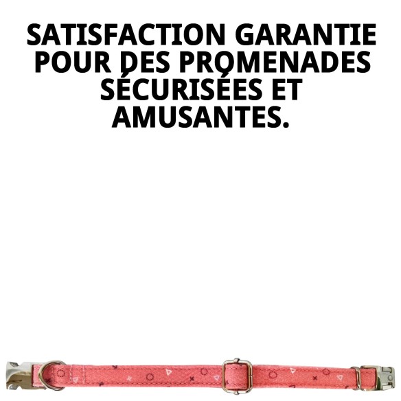 Collier Moly Saumon T-2 : Style et Confort pour votre Animal de Compagnie