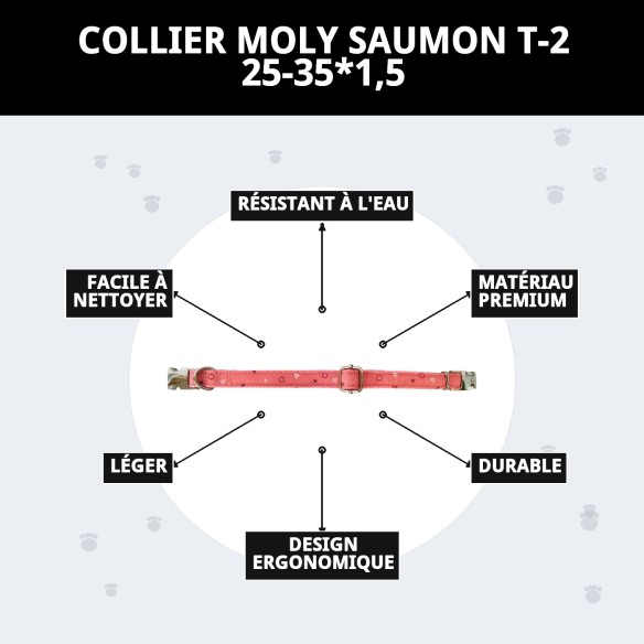 Collier Moly Saumon T-2 : Style et Confort pour votre Animal de Compagnie