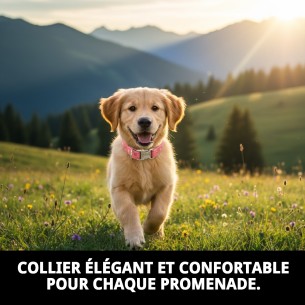 Collier Moly Salmon T-3 : Style et Confort pour votre Animal de Compagnie 2