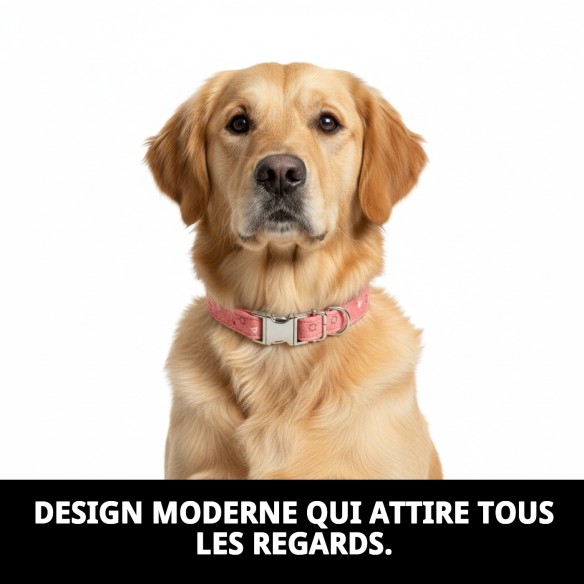 Collier Moly Salmon T-3 : Style et Confort pour votre Animal de Compagnie