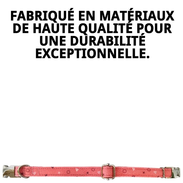 Collier Moly Saumon T-4 : Confort et Style pour votre Chien