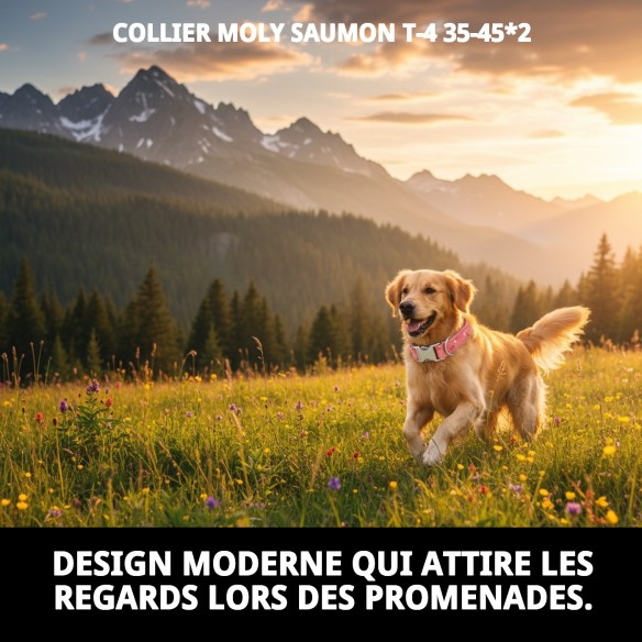 Collier Moly Saumon T-4 : Confort et Style pour votre Chien