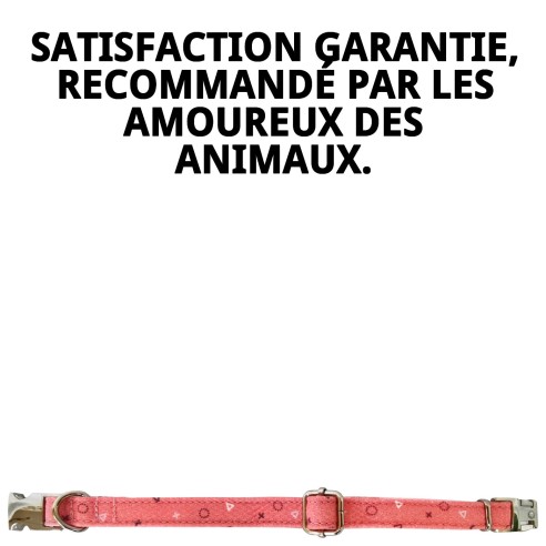 Collier Moly Saumon T-4 : Confort et Style pour votre Chien