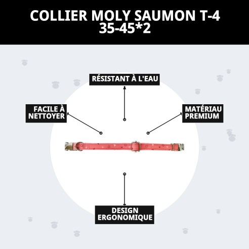 Collier Moly Saumon T-4 : Confort et Style pour votre Chien