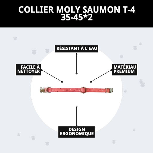 Collier Moly Saumon T-4 : Confort et Style pour votre Chien