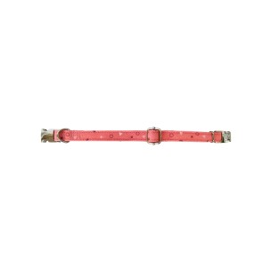 Collier Moly Salmon T-5 40-50 cm pour votre animal heureux.