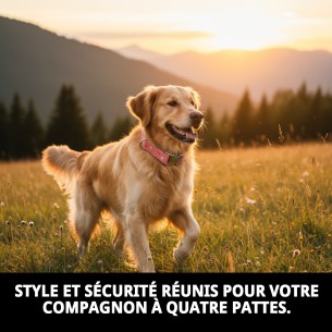 Collier Moly Salmon T-5 40-50 cm pour votre animal heureux. 2