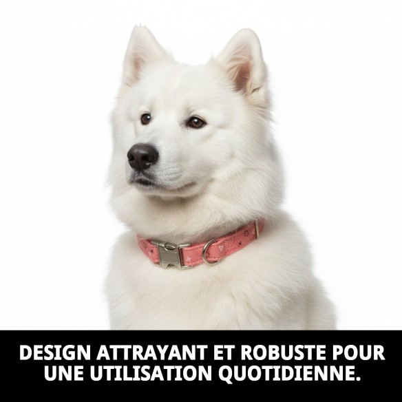 Collier Moly Salmon T-5 40-50 cm pour votre animal heureux.