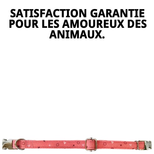 Collier Moly Salmon T-5 40-50 cm pour votre animal heureux.