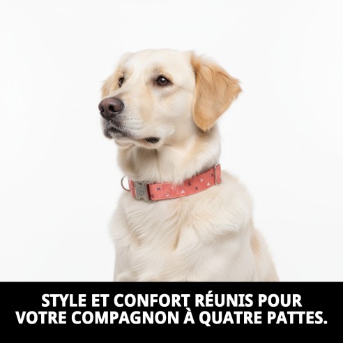 Collier Moly Saumon T-6 pour Chiens 45-55 cm - Confort et Style